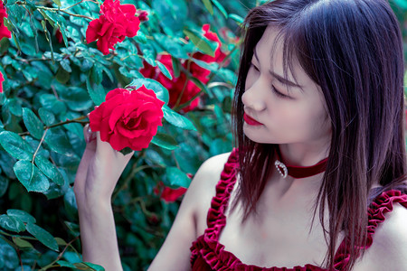 绿茶品类多难分辨？ 我国牵头修订《绿茶 术语》国际标准